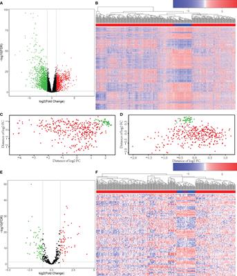 Long Noncoding RNA SNHG1 Regulates LMNB2 Expression by Sponging miR-326 and Promotes Cancer Growth in Hepatocellular Carcinoma